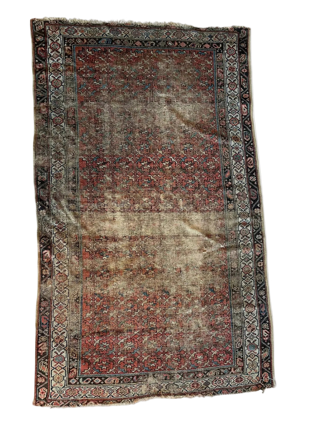 3110 Iran/ Kurdistan Province/ Persian Village Rug  with All Over Repeating Geometric Floral Pattern